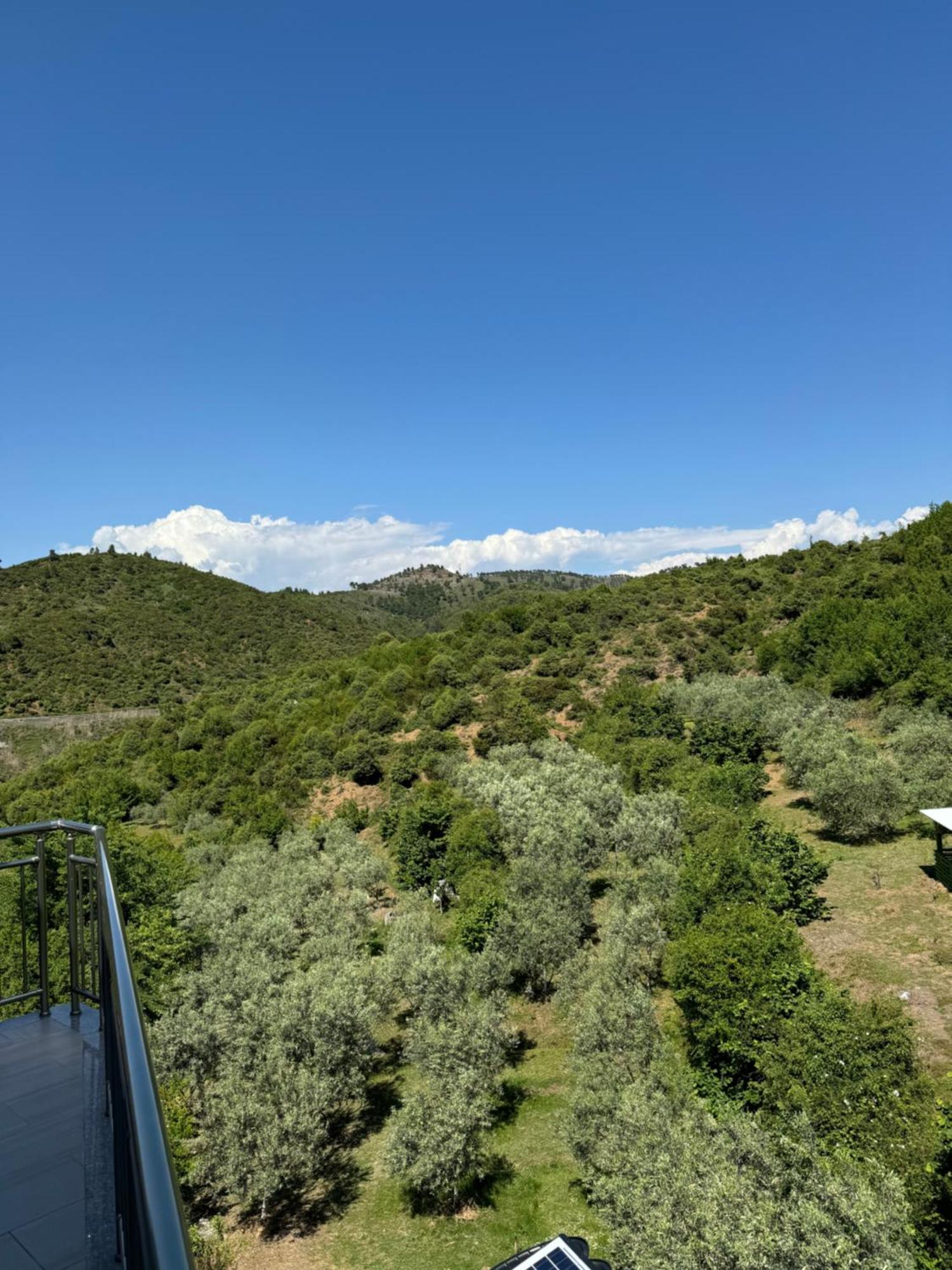 Qyteza Guest House & Camping Shkoder Luaran gambar