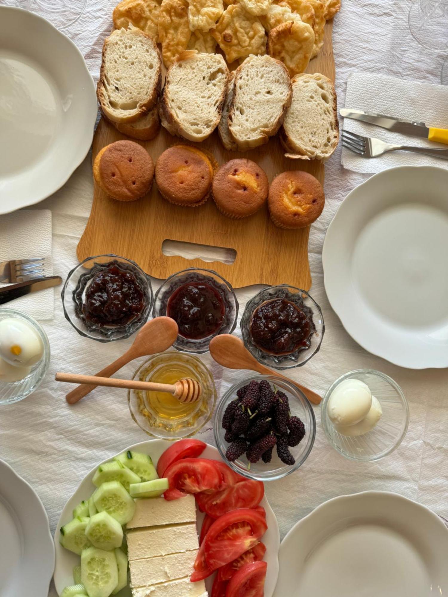 Qyteza Guest House & Camping Shkoder Luaran gambar