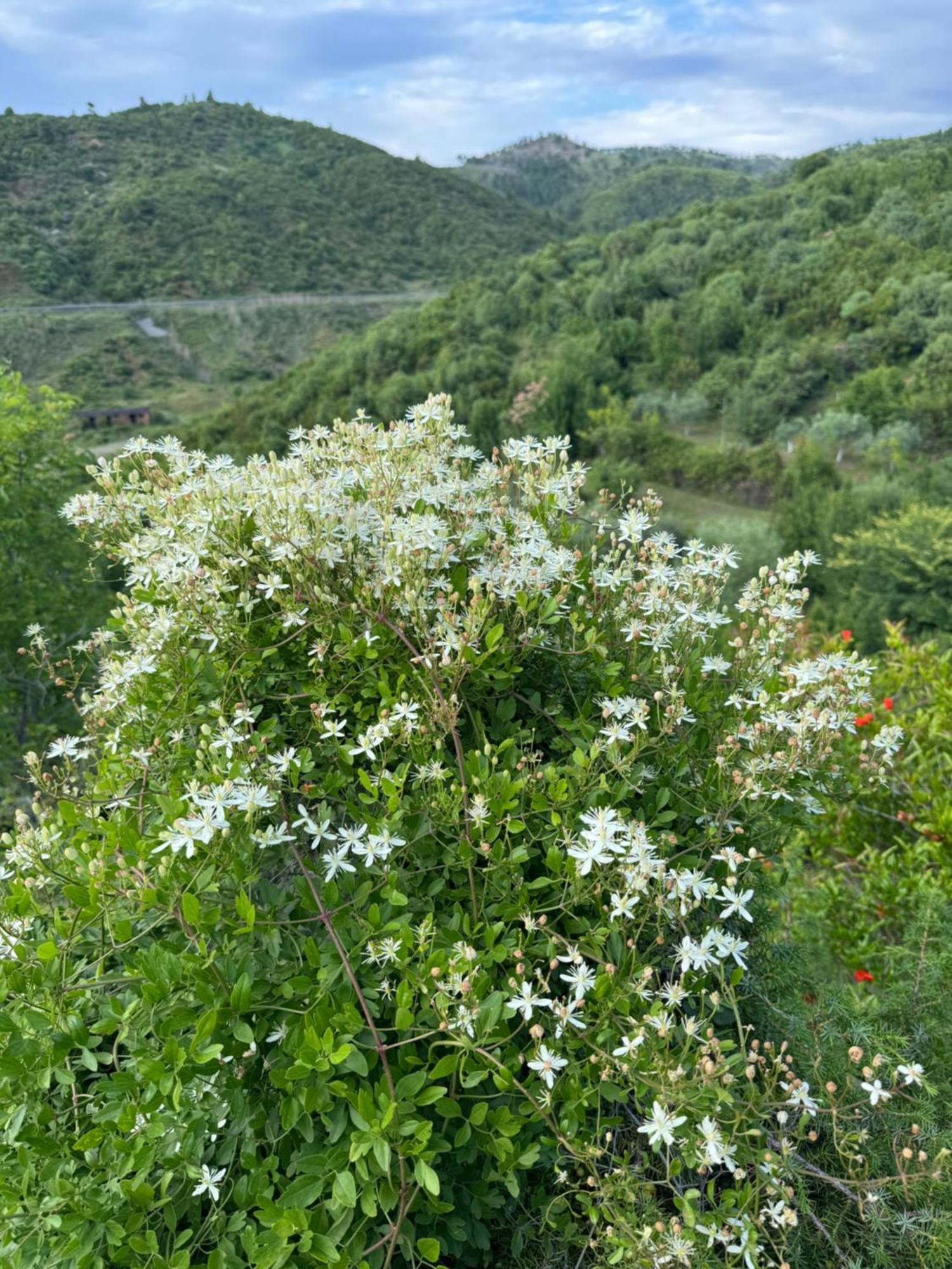 Qyteza Guest House & Camping Shkoder Luaran gambar